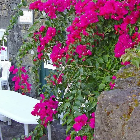 Holiday Home Prainha De Baixo - Pdl02014-F Prainha (Sao Roque do Pico)